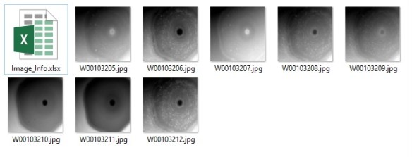 Downloaded raw image set