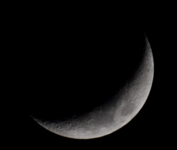 moon-raw-4