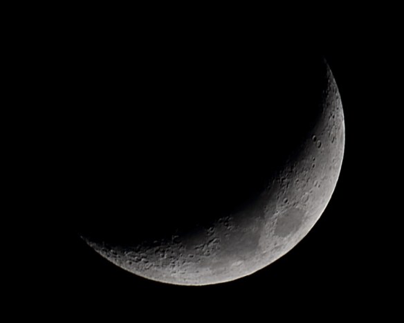 moon-raw-5